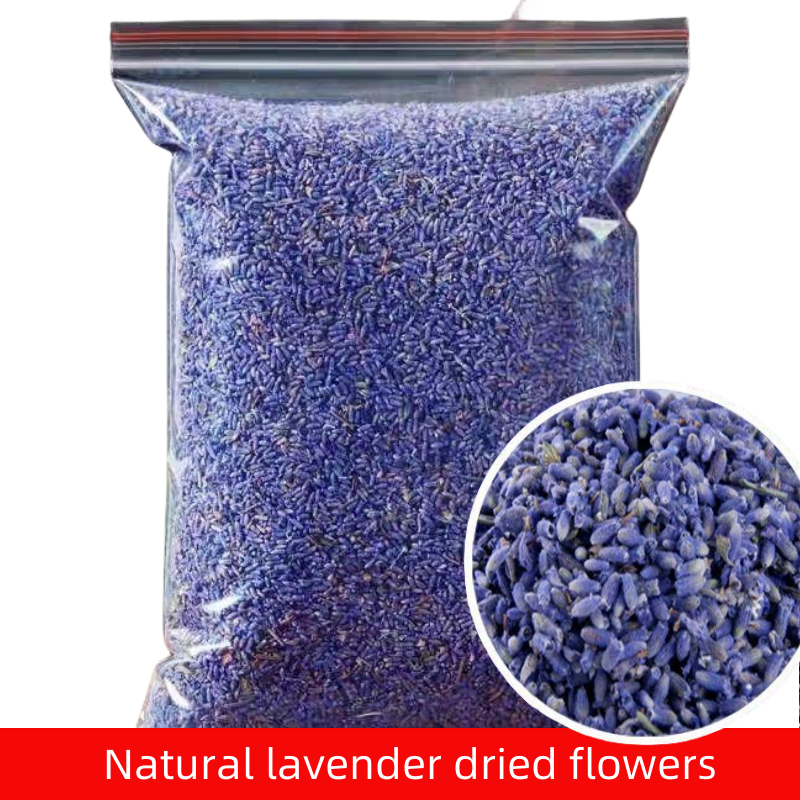 Art Craft 3 Year Old - High Quality Natural Dried Flowers Indoor