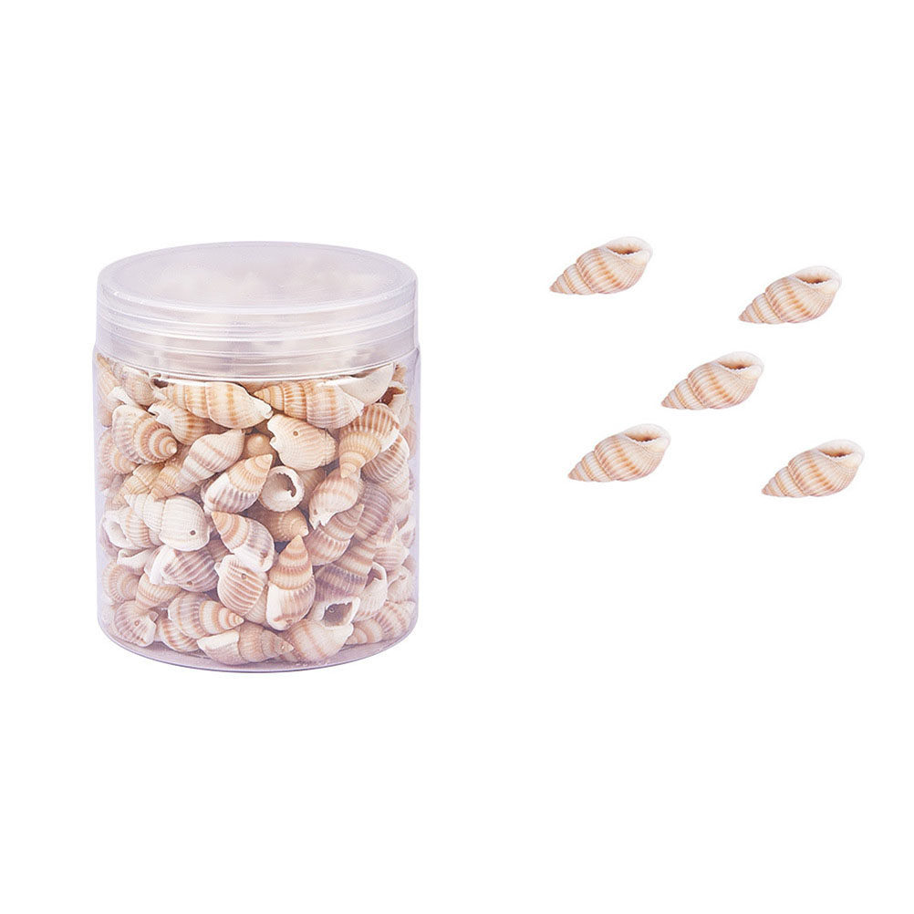 Mini Seashells Crafts Natural  - Art Craft Gallery ulasan dan harga
