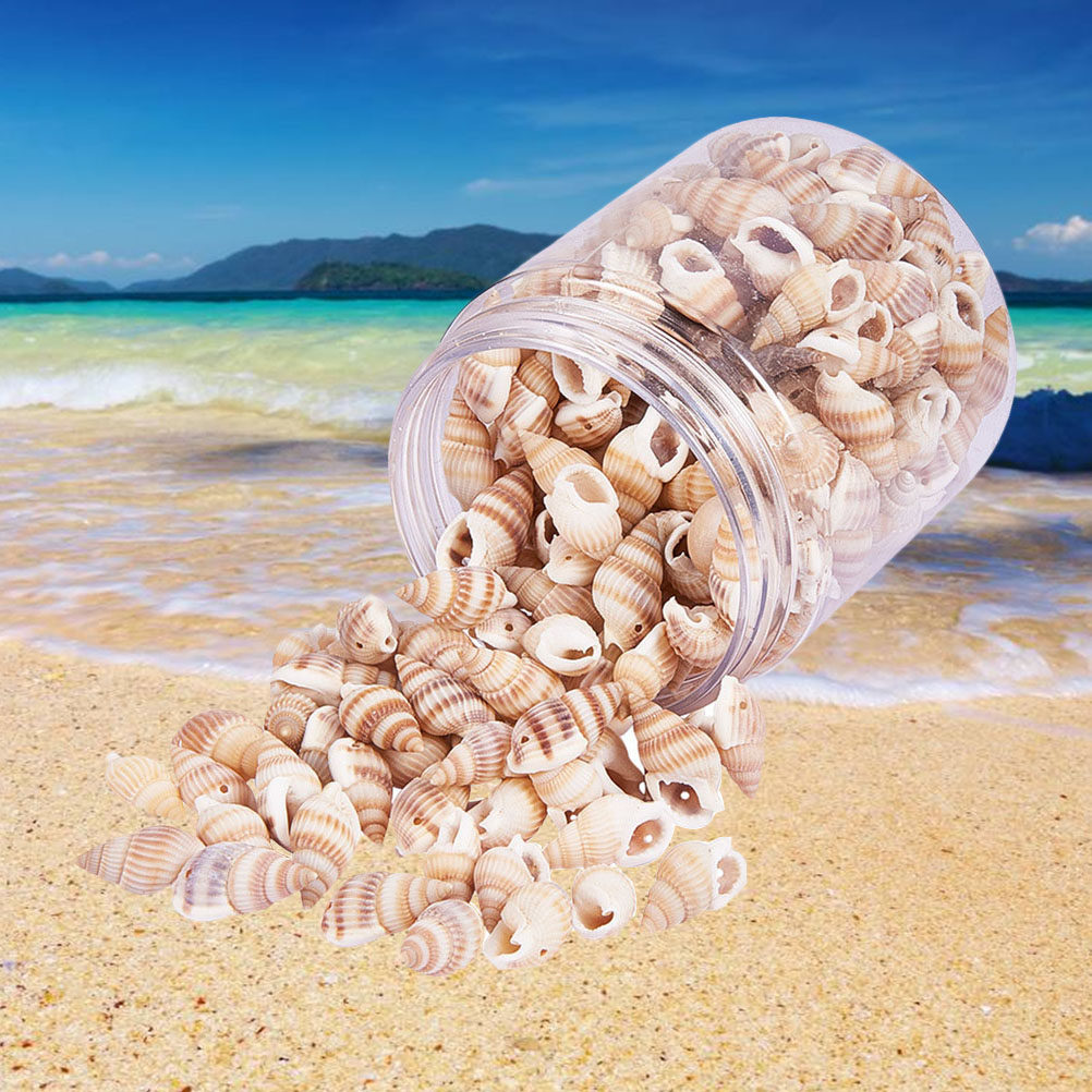 Mini Seashells Crafts Natural  - Art Craft Gallery ulasan dan harga