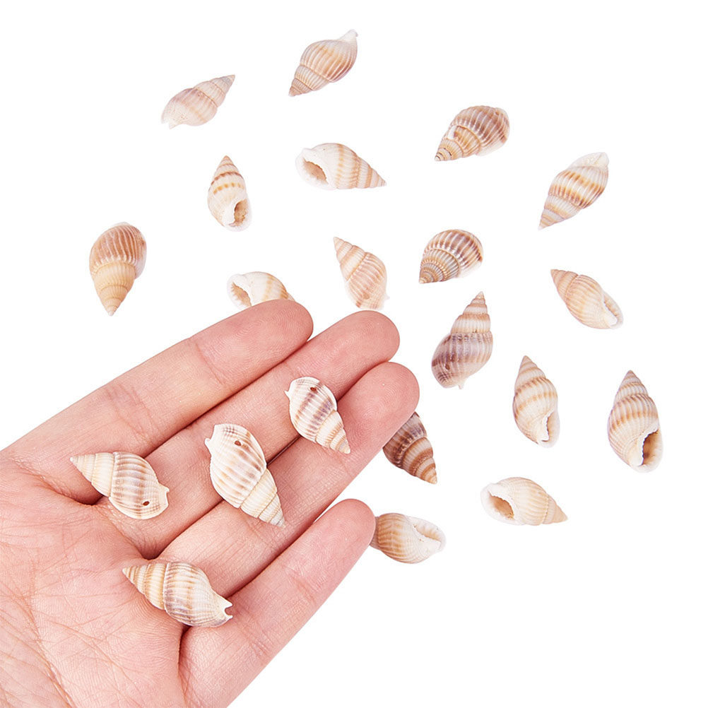 Mini Seashells Crafts Natural  - Art Craft Gallery ulasan dan harga