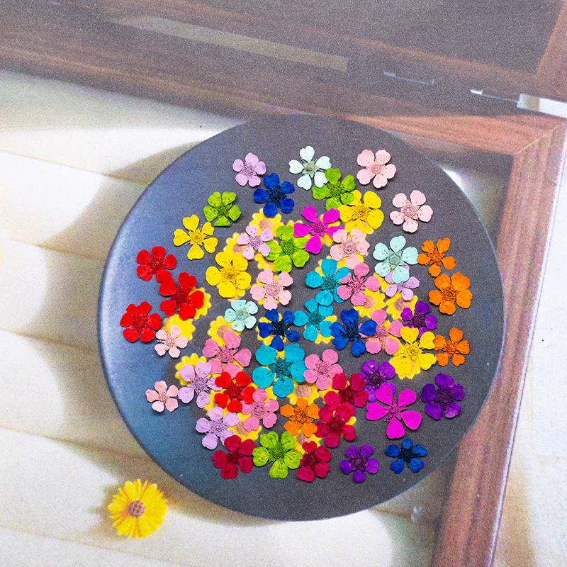 96Pcs Mini 1.5cm Natural Press - Art And Craft Nature ulasan dan harga