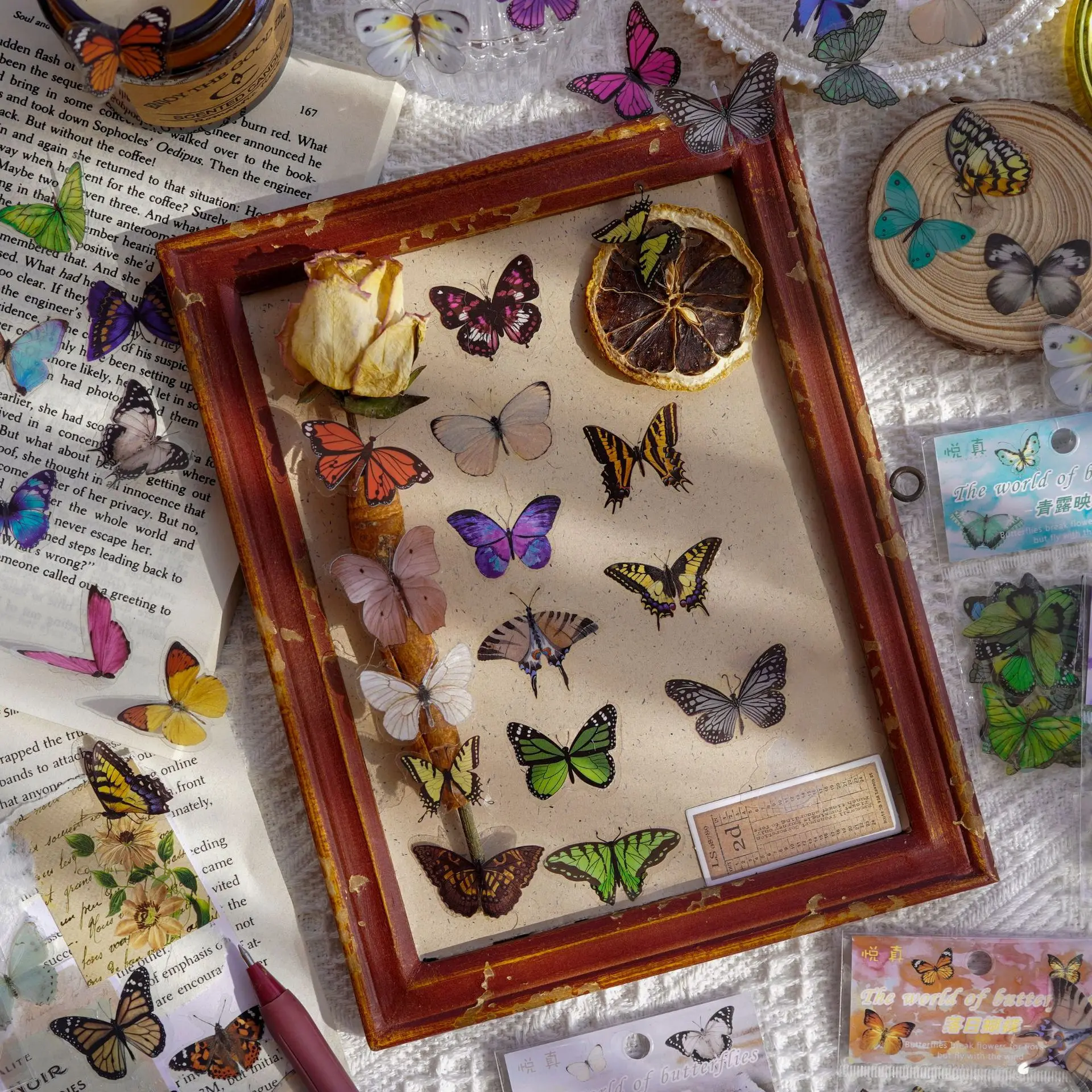 Journamm 40pcs/pack Butterfly  - Art Craft 3 Year Old ulasan dan harga