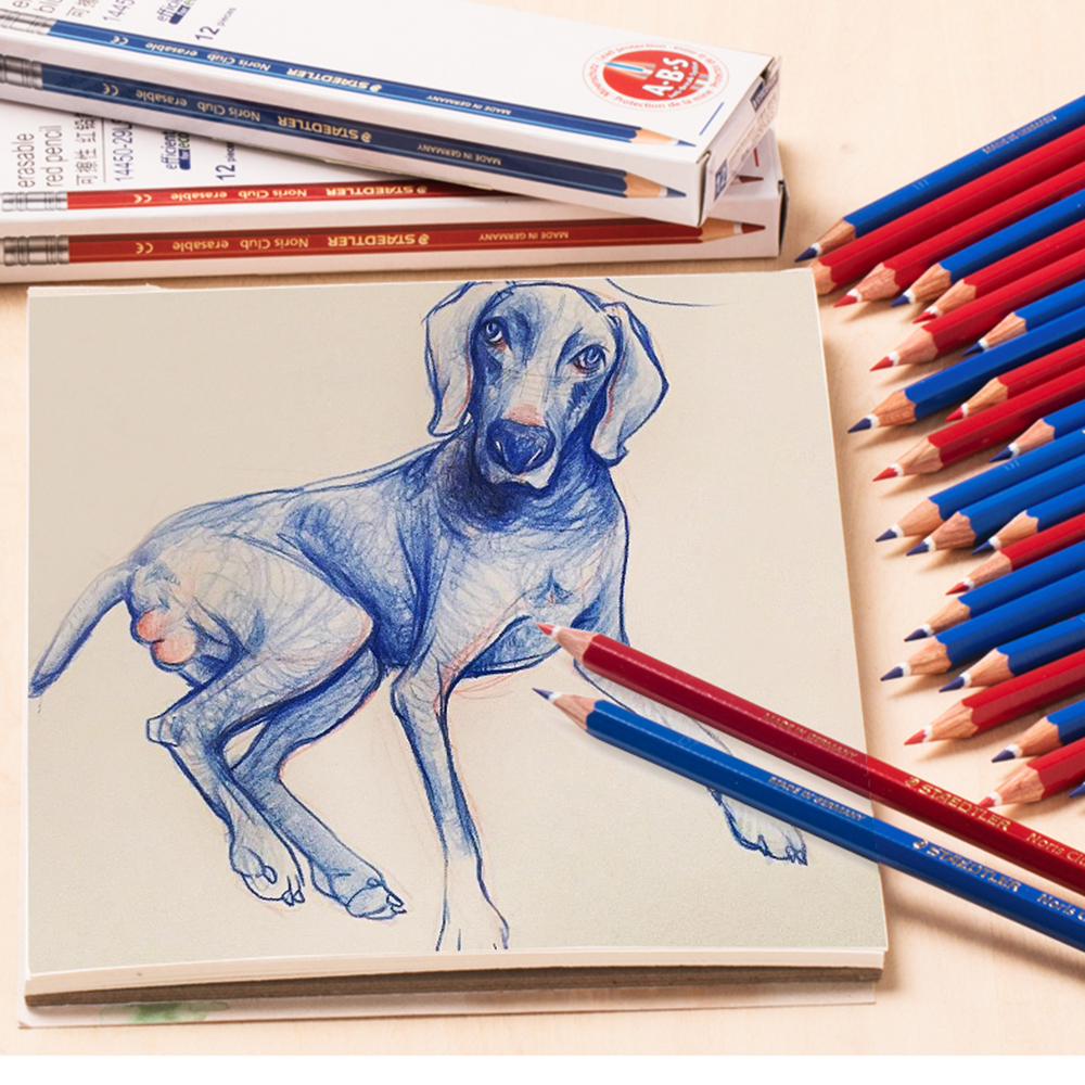 6/12pcs STAEDTLER Color Pencil - Colored Pencil Professional ulasan dan harga
